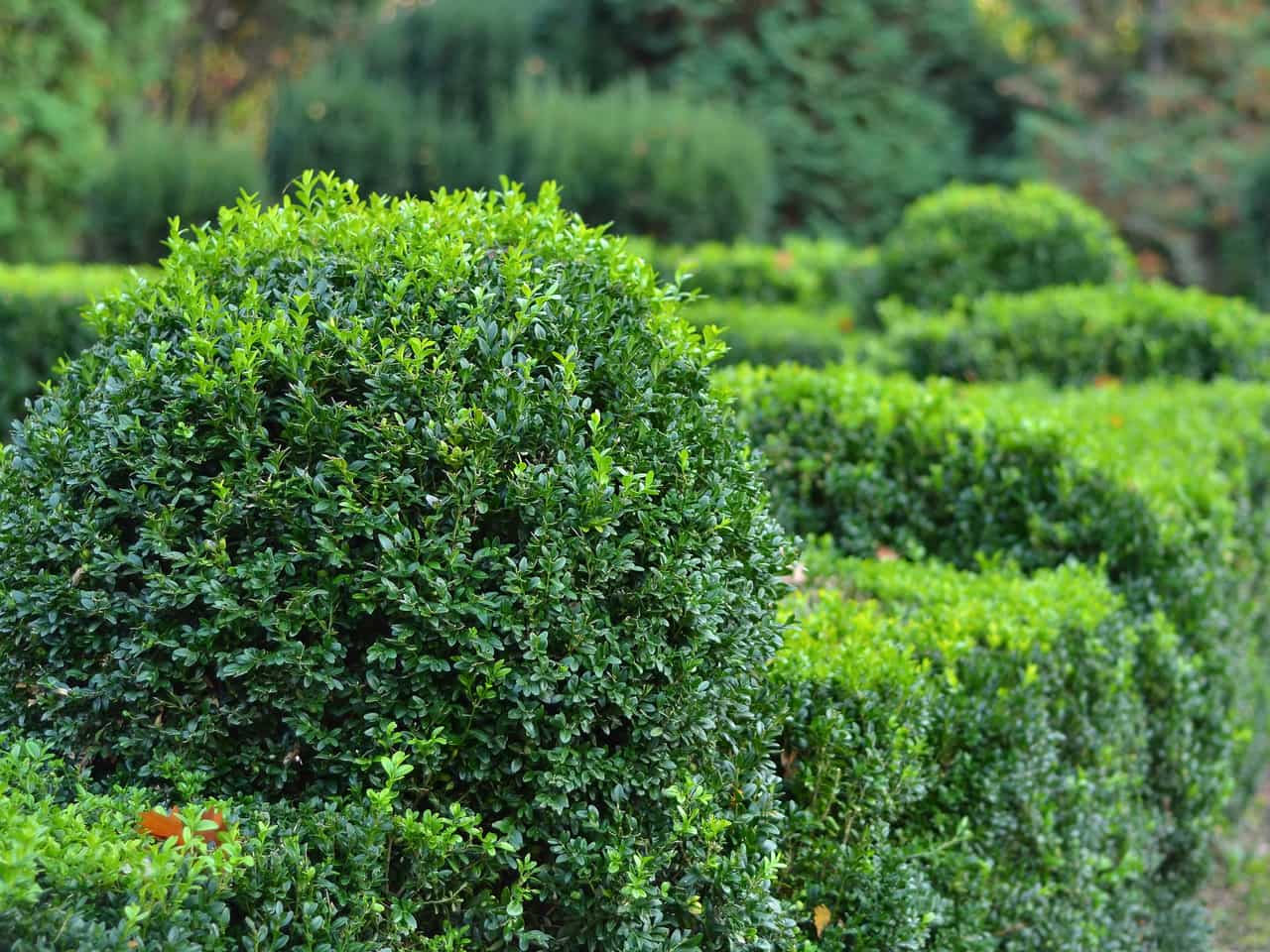 Landscaping Services